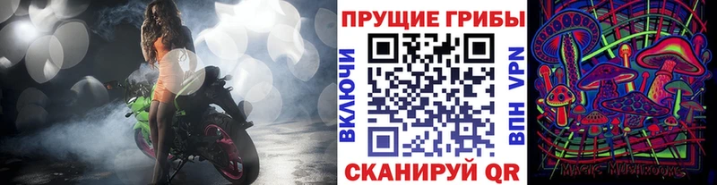 где купить   Арск  Псилоцибиновые грибы Psilocybe 